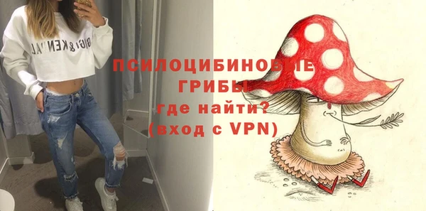 спайс Беломорск