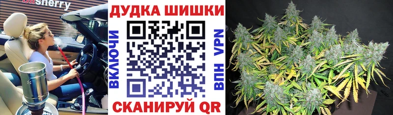 купить наркотик  Малая Вишера  Каннабис гибрид 